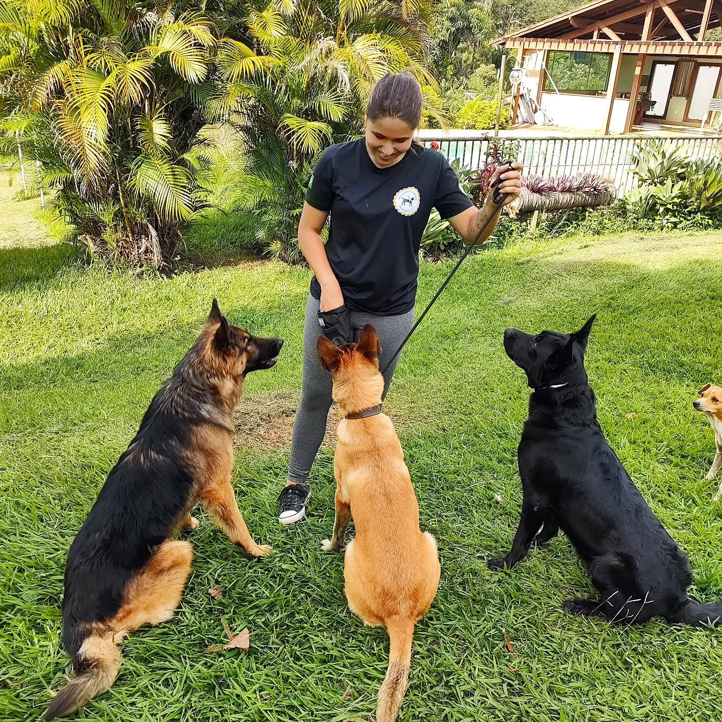 Adestrador com cão